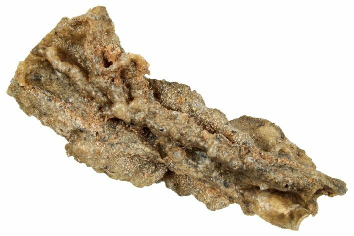 Fulgurite - Petrified Lightning #260439